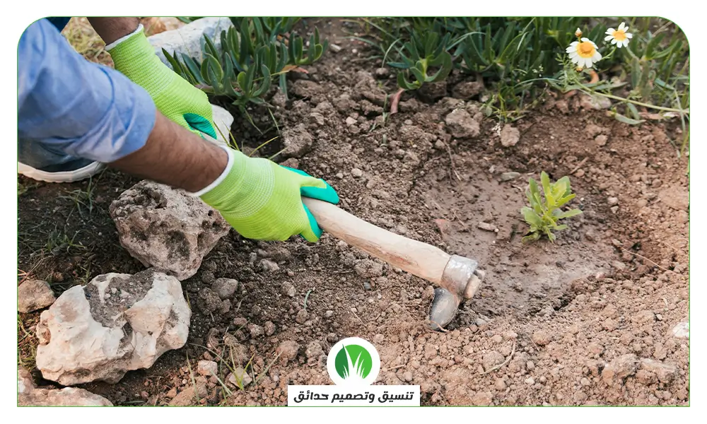 تصميم حدائق منزليه تصميم حدائق منزليه