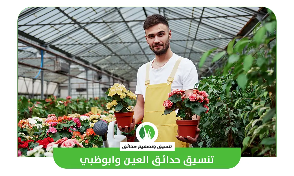 تنسيق حدائق العين وابوظبي