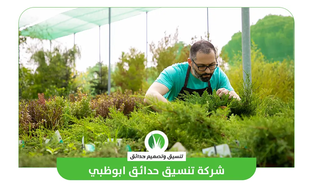 شركة تنسيق حدائق ابوظبي